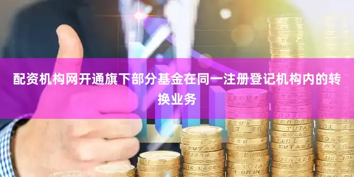 配资机构网开通旗下部分基金在同一注册登记机构内的转换业务