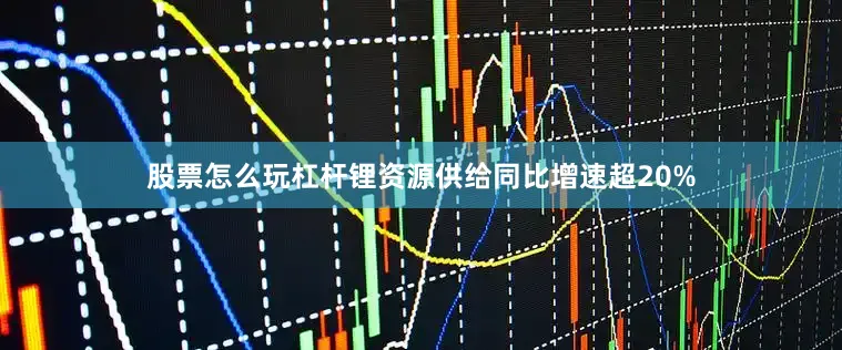 股票怎么玩杠杆锂资源供给同比增速超20%